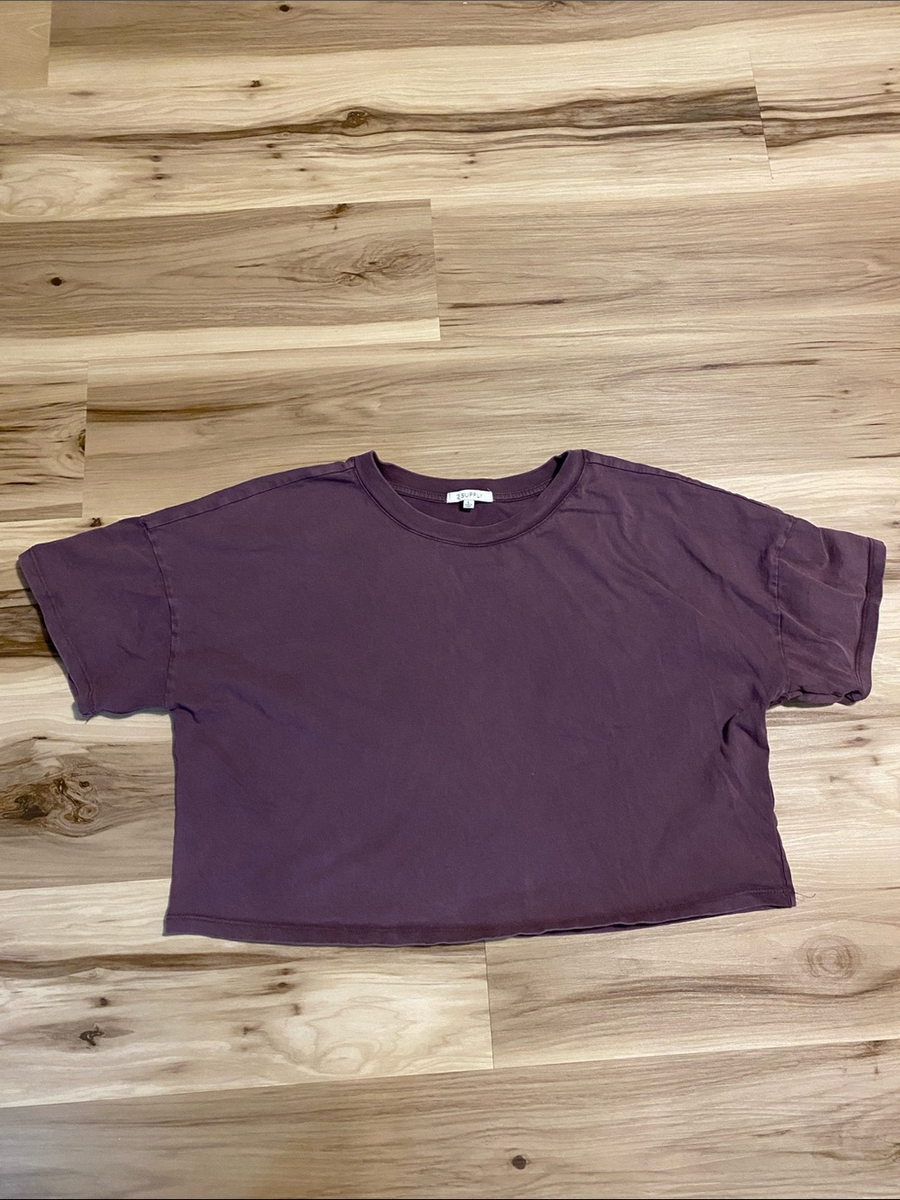Z Supply Plum Relaxed Crop Tee L
